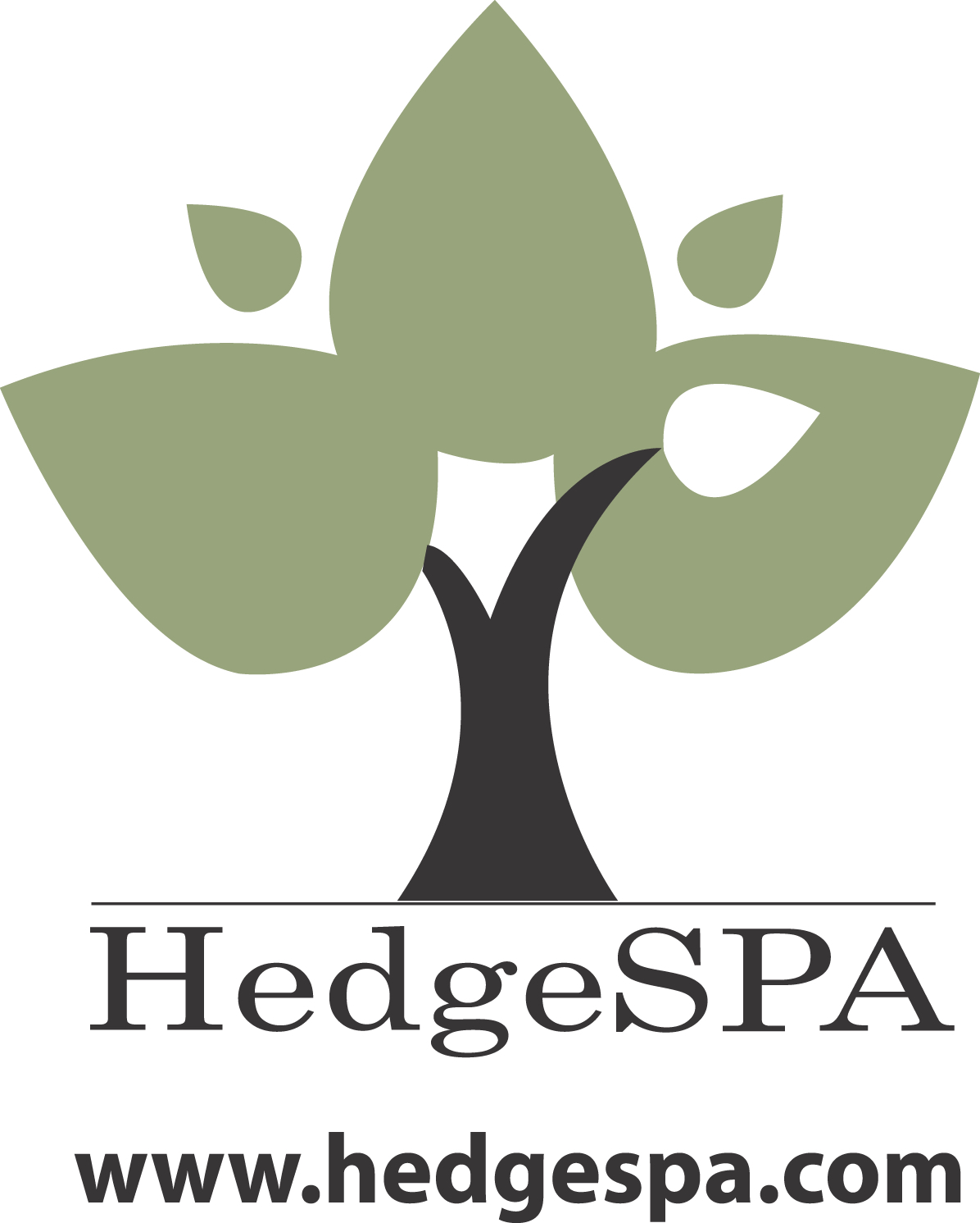 HedgeSPA Logo - AI and Quantum-Powered Investment Analytics Platform